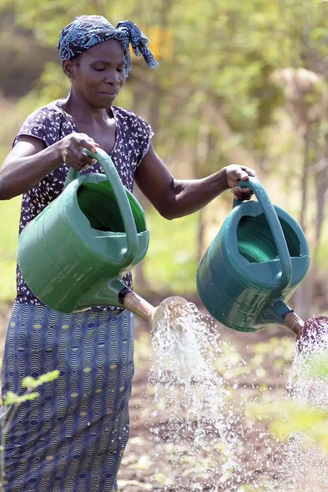 Partenaire:ASIENA
Benéficiaire ; Zemstanaba du secteur 23
Activité : Maraîchage